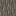 acacia_log