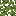 azalea_leaves