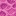 brain_coral_block