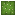 cactus_top
