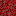 crimson_nylium