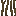 mangrove_roots_side