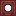 mangrove_trapdoor