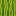melon_side