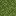 moss_block