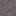 mycelium_top